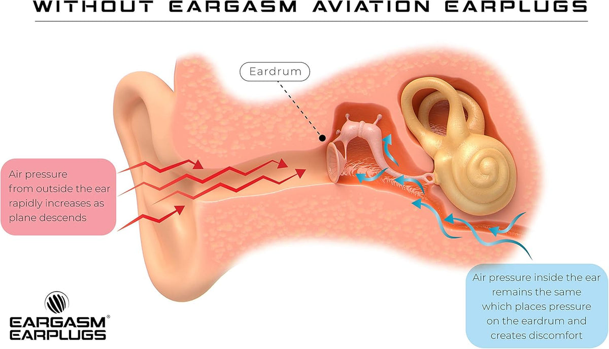 Eargasm Aviation Earplugs - Airplane Ear-Plugs for Ear Air Pressure Relief on Flights for Adults - High Altitude Air Travel Essential Earplugs for Men & Women for a Comfortable Trip