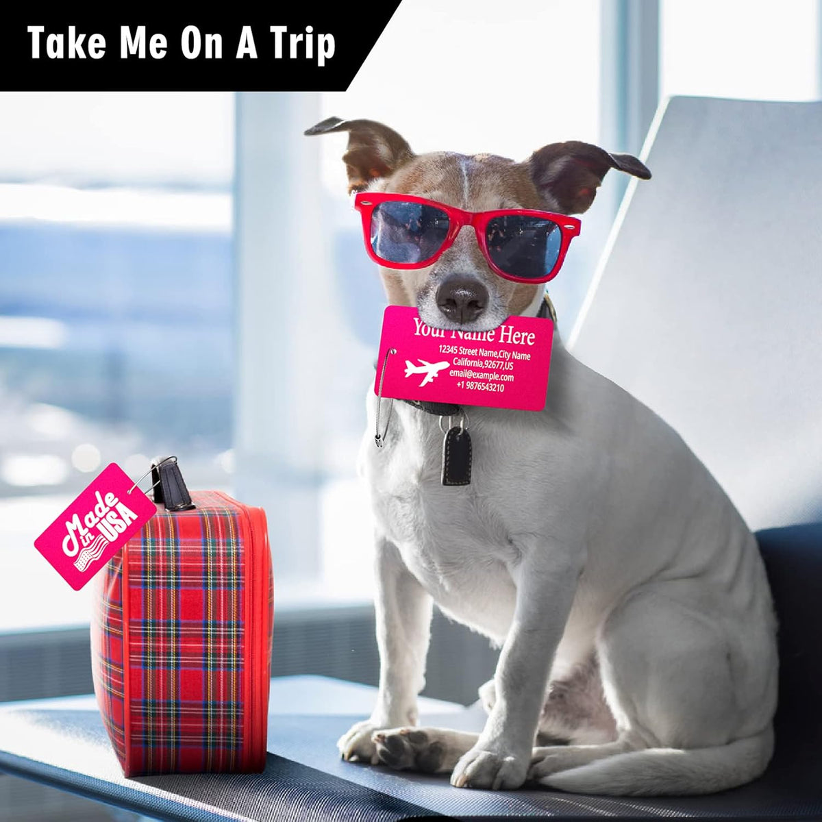 Luggage Tags for Suitcase - Personalized Engraved Metal Tag for Cruise Travel - Custom Name Tags Suitable for Bags and Backpacks(Gold),Horizontal (2x3.5'')
