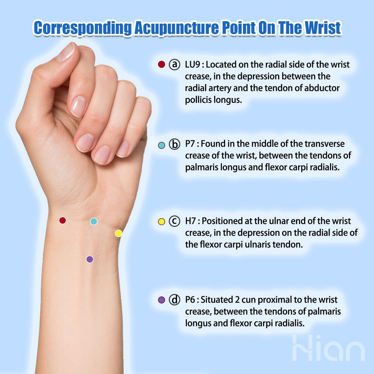 Hion Motion Sickness Bracelets Sea Sickness Wristbands for Motion Sickness/Morning Sickness/Pregnancy Nausea Anti Nausea Wristband Acupressure Nausea Bands Motion Sickness Bands(2Pairs Pine Green)
