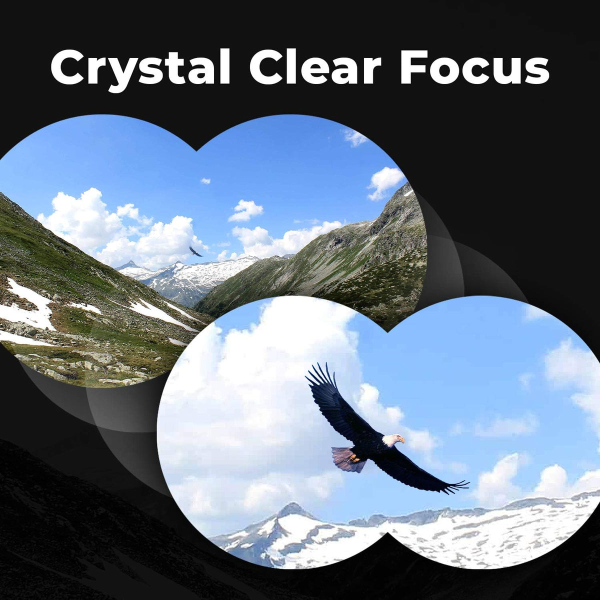 Wingspan Optics FieldView 8X32 Compact Binoculars for Bird Watching. Lightweight and Compact for Hours of Bright, Clear Bird Watching. Also for Outdoor Sports Games and Concerts