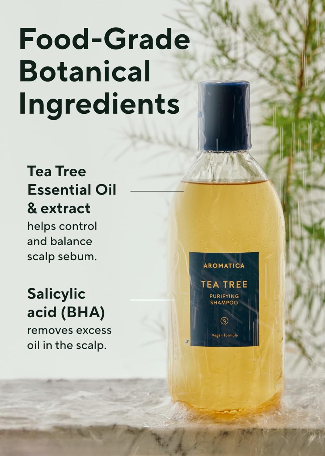 AROMATICA Tea Tree Purifying Shampoo 13.53fl.oz./400ml, Tea Tree Shampoo for Oily Hair and Scalp, Sulfate Free, Vegan