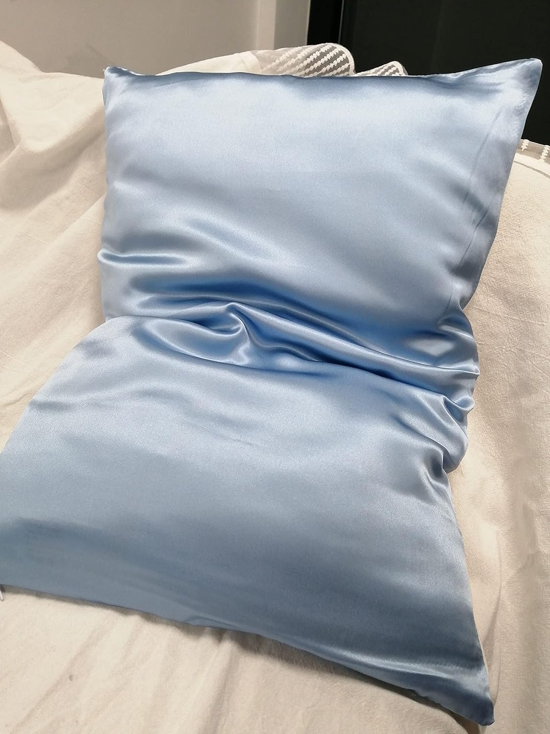 Natural Mulberry Silk Toddler Pillowcase for Hair and Skin, Both Side 19 Momme Silk, 1 Pack Travel Pillow Case, 13 x 18 Inches (Blue)